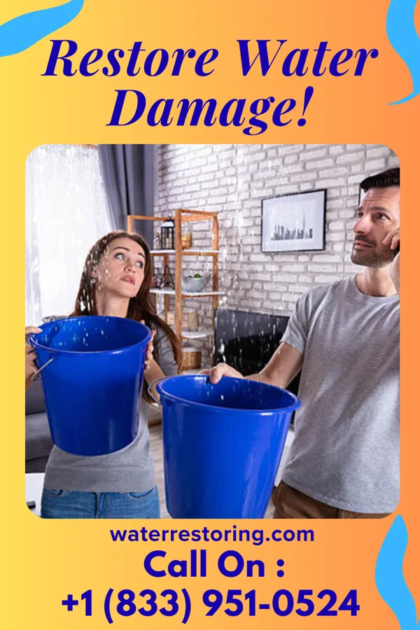 water restoration Horizon Disaster Cleanup Network West Logan