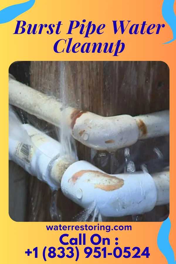 Burst Pipe Water Cleanup in West Logan, WV
