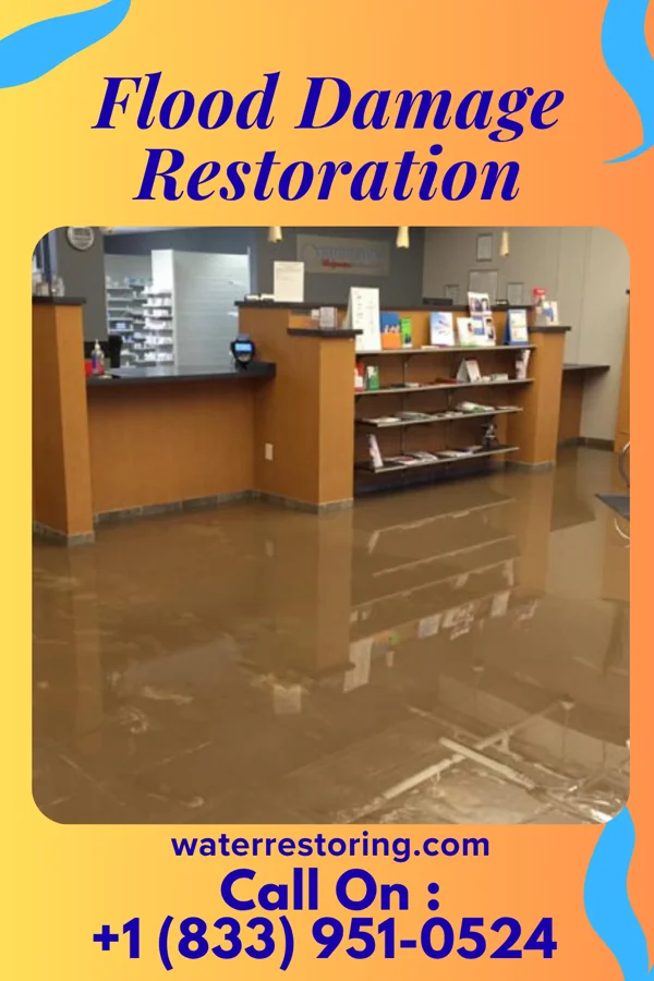 Flood Damage Restoration in West Logan, WV