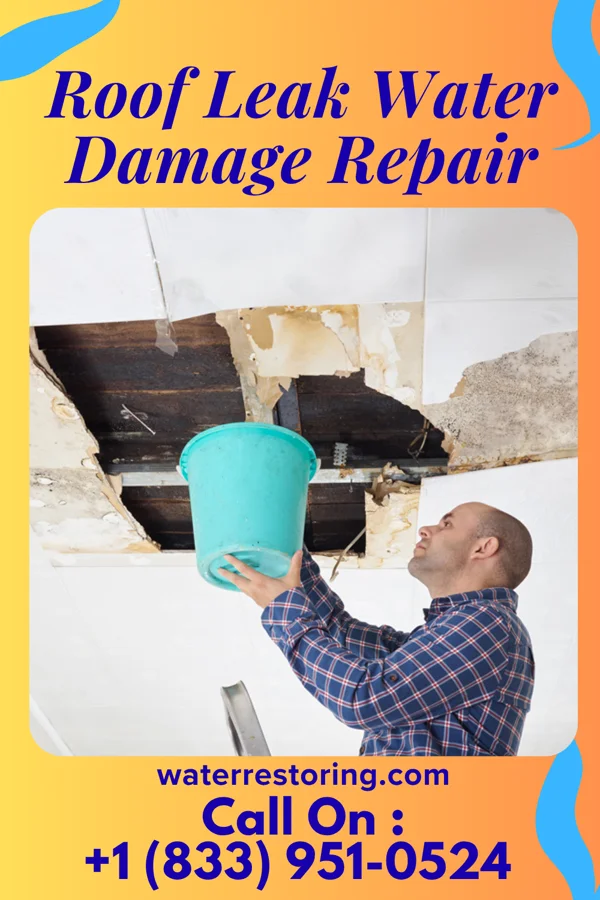 Roof Leak Water Damage Repair in West Logan, WV