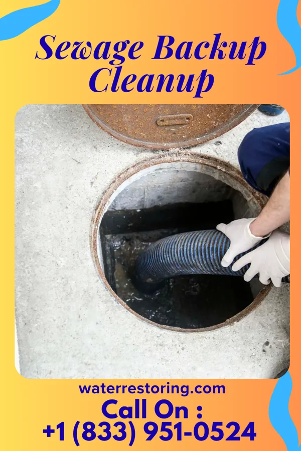 Sewage Backup Cleanup in West Logan, WV