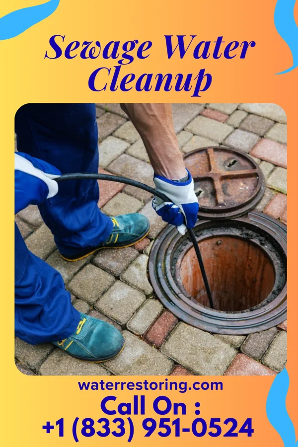 Sewage Water Cleanup in West Logan, WV